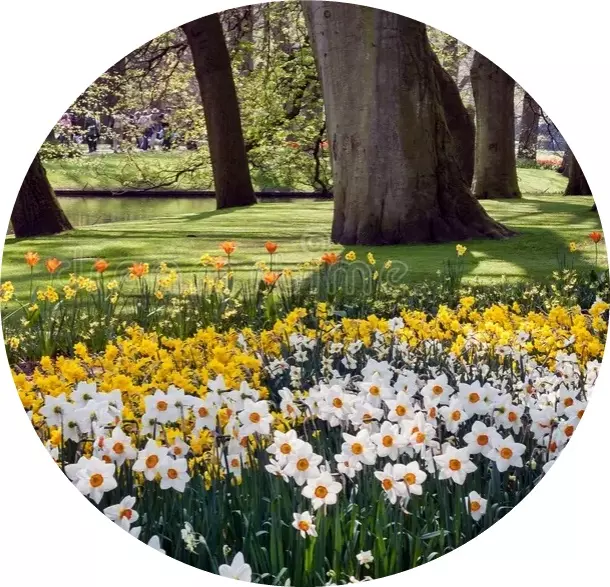 Bildschirmfoto_25-2-2025_124110_de.dreamstime.com