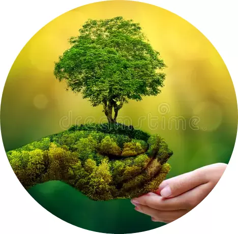 umwelt-tag-der-erde-den-händen-von-bäumen-die-sämlinge-wachsen-bokeh-grünen-weibliche-hand-des-hintergrundes-baum-auf-130247647